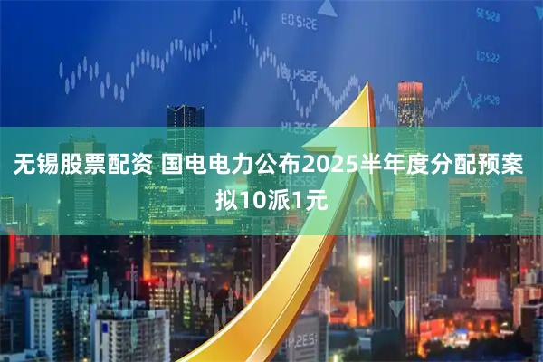 无锡股票配资 国电电力公布2025半年度分配预案 拟10派1元